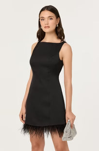Alisanne Feather Mini Dress by ASTR – Villa 19 Boutique