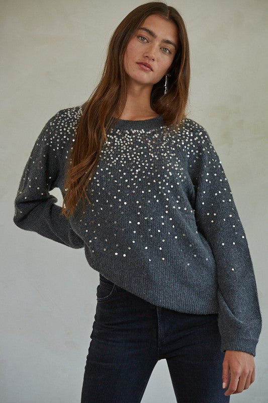 Robin Sparkly Sweater