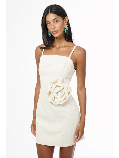 Tabitha Mini Dress