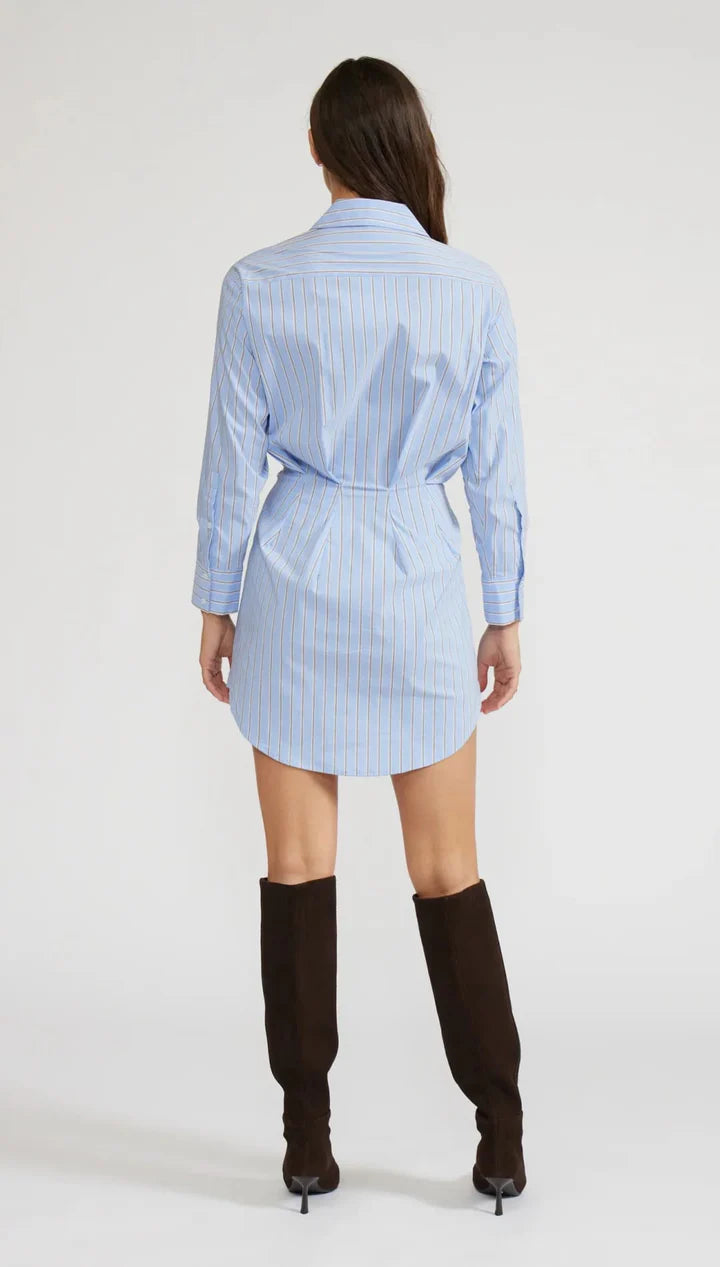 Darma Stripe Dress
