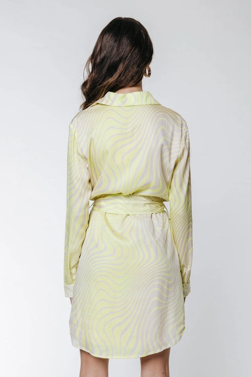 Talia Shirt Dress