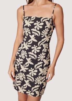 Antigua Dress