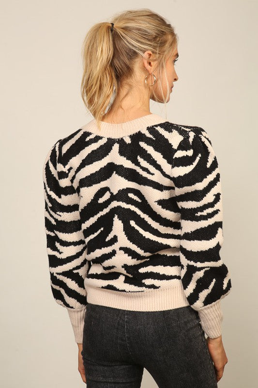 Lucia Zebra V Neck Sweater