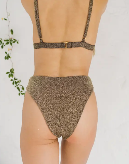 Sandy Metallic Triangle Top