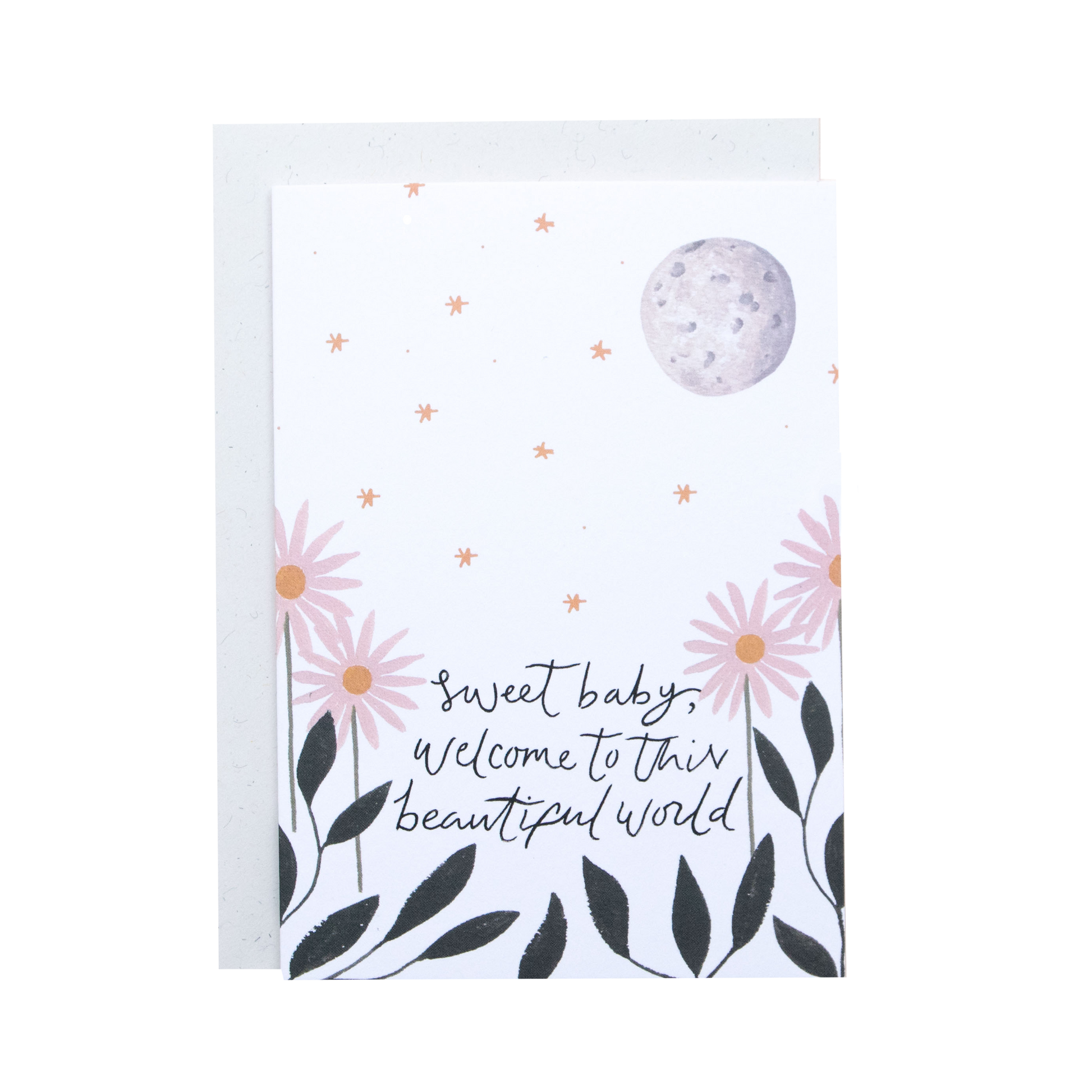 The Hidden Pearl Greeting Cards